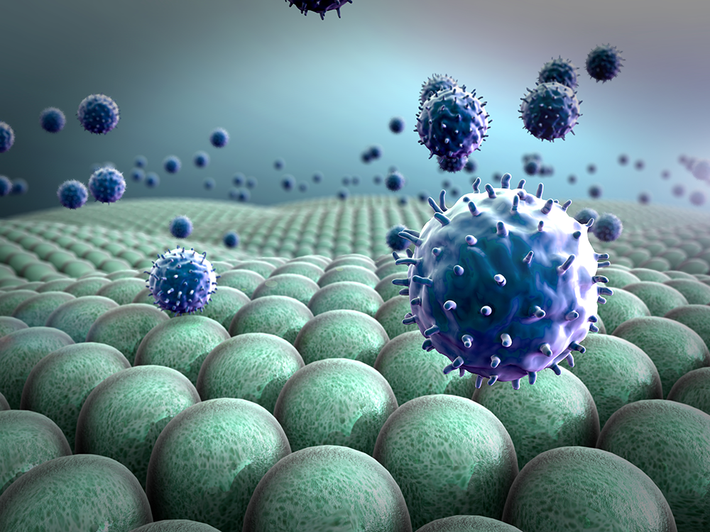 Intestino-e-sistema-immunitario