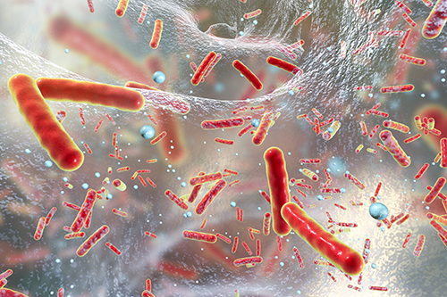 microbiota-orale
